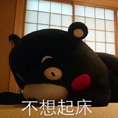 熊本表情包