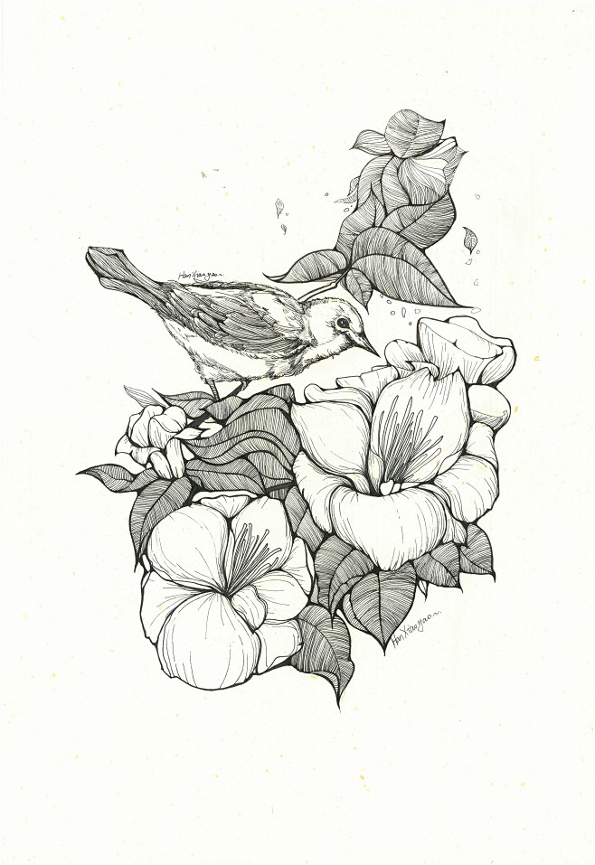 5鸟手绘插画黑白壁纸治愈