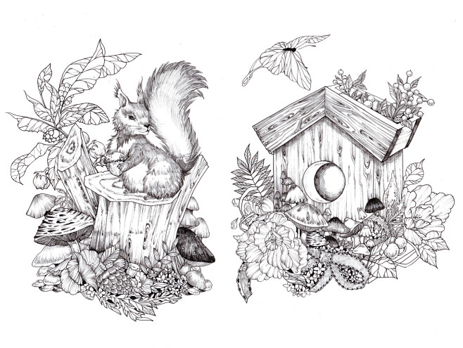 黑白蘑菇图鉴--已授权|插画|商业插.