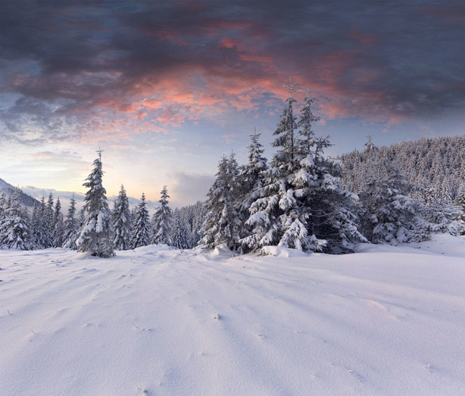 雪地与树林图片素材下载自然风景自然景观图片素材集图网wwwjitu5com