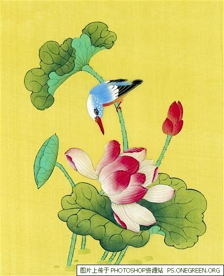 图片荷花工笔花鸟国画0207