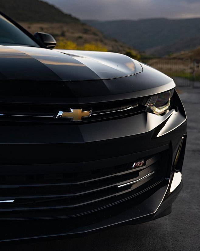 一枚大黑蜂_图片新闻_东方头条