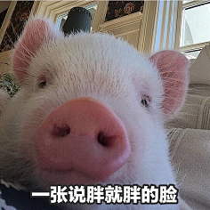 就这样吧 - 文字表情包