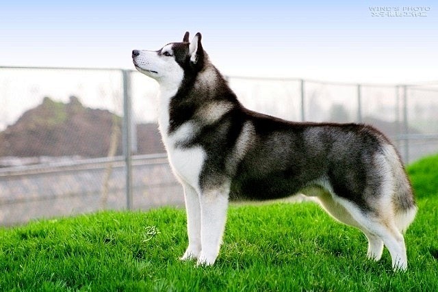 如果有一天,你叫我的时候,我没有回头。那就只