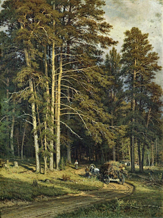 shishkin(希施金)