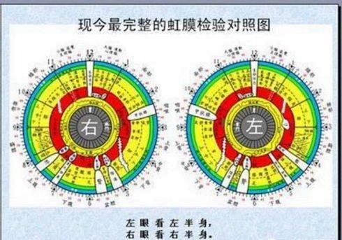 云卫士虹膜全息技术