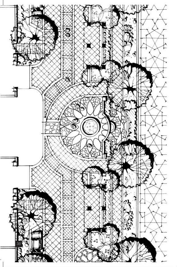 com 手绘植物平面图_景观手绘_园林吧 yuanlin8.