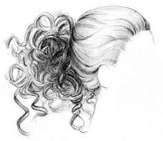 素描头发-花瓣网|陪你做生活的设计师 ld各种发型素描画欣赏