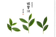 花瓣陪你做生活的设计师