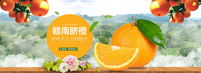 桔子 橘子 皇帝柑 柑子 沙糖桔 脐橙 甜橙 橙子海报 橙子展架 水果