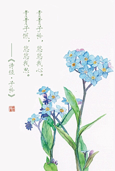 cn 手绘花卉系列——《花·诗经》|插画|商业插画|阿骨aoki - 原创