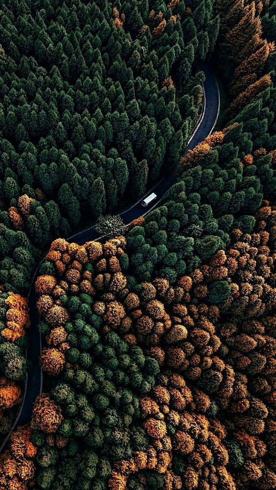 俯视公路风景