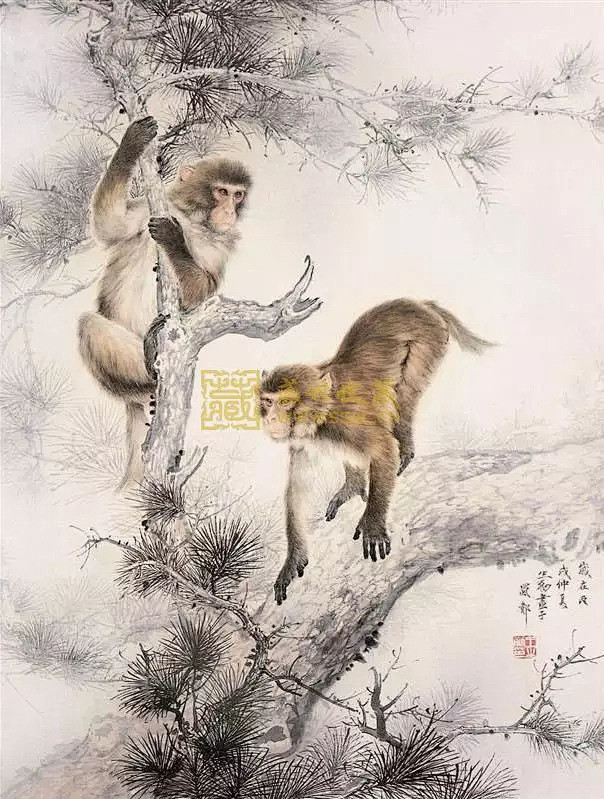 qq.com 工笔猴画,好可爱的小动物~! 1 mp.weixin.qq.