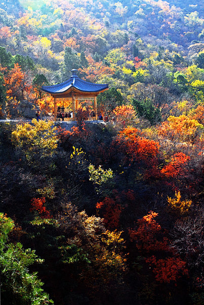 jino26@gmail.com采集到风景