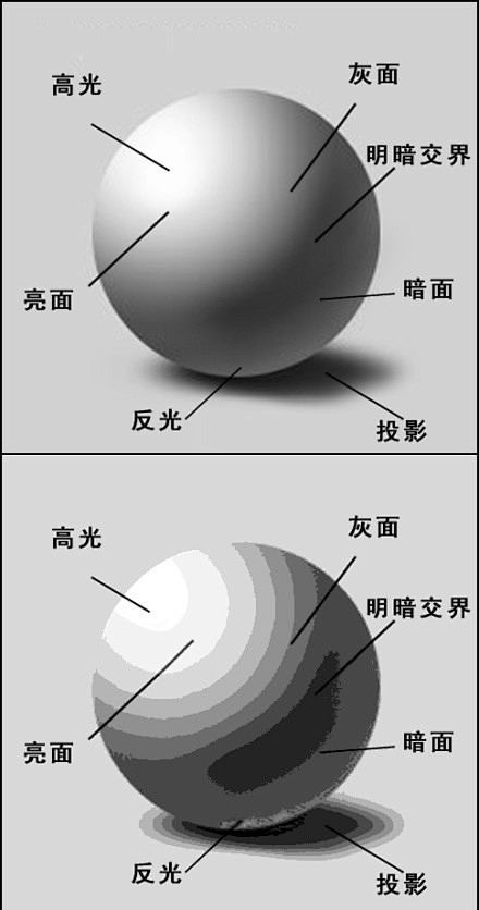 三面:黑白灰  五调:高光 暗面 明暗交.