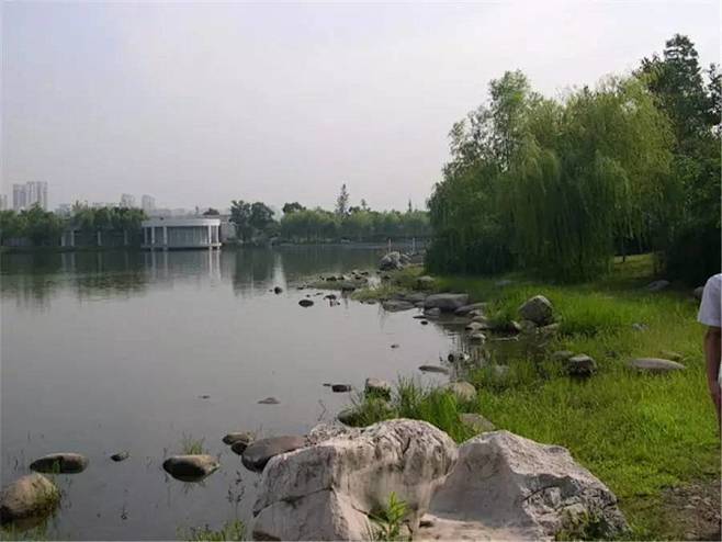 自然驳岸