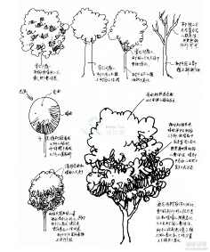 景观手绘(线稿)