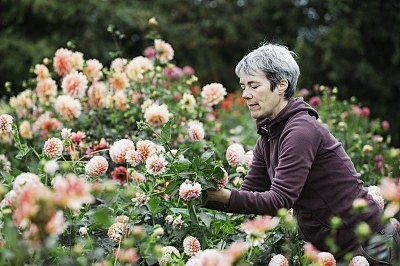 花与人