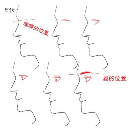 绘画参考初学者向绘制面部侧面的一些细节要点bykelpls