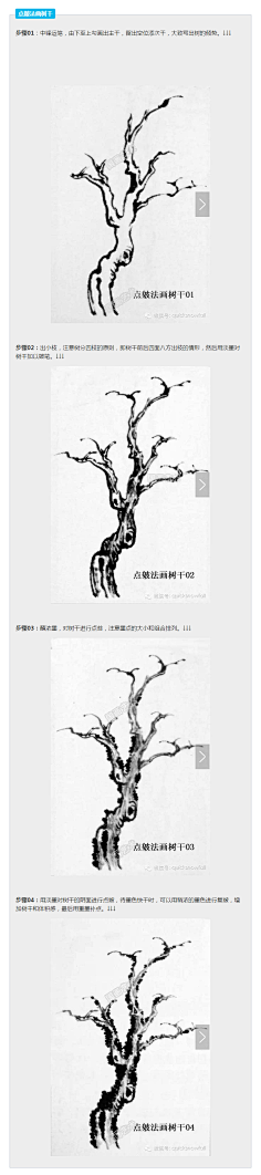 树枝 树干 灌木造型