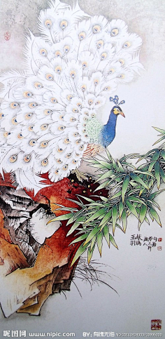 儿童插画-花瓣网|陪你做生活的设计师 | 蓝色水墨孔雀