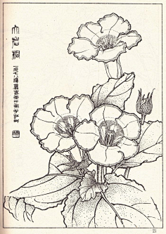 线描