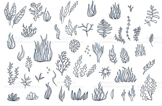com 130个海洋生物鱼虾蟹海豹鲸鱼海马海藻简笔画ai海报设计矢量素材
