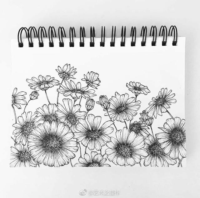 植物线稿-花瓣网|陪你做生活的设计师 植物线描画,花卉