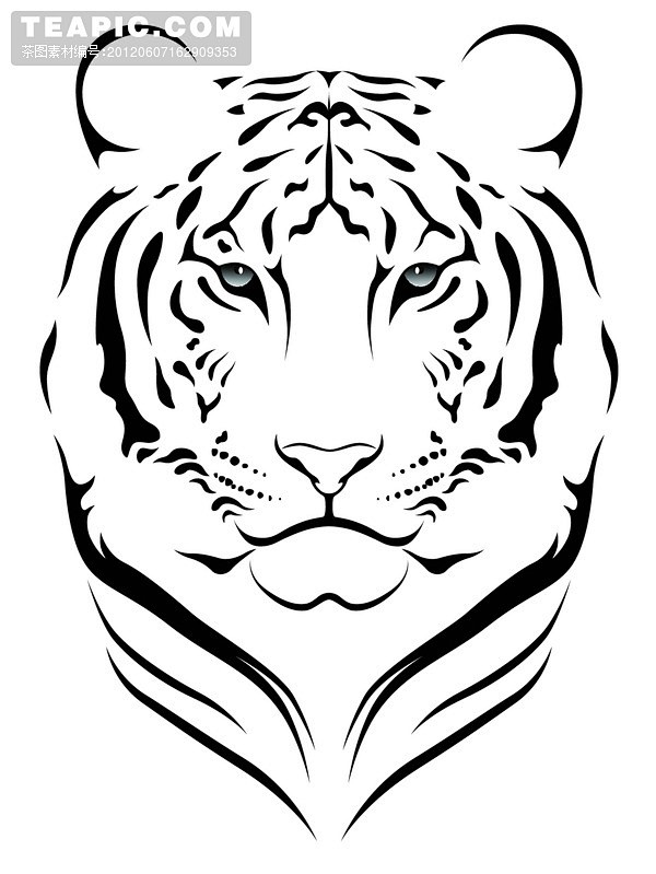 老虎图片15老虎头像虎纹虎头图案线描tiger