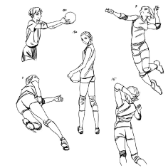 qq.com 【绘画参考】11 张排球少女比赛时的动作集锦(动态速写素材)