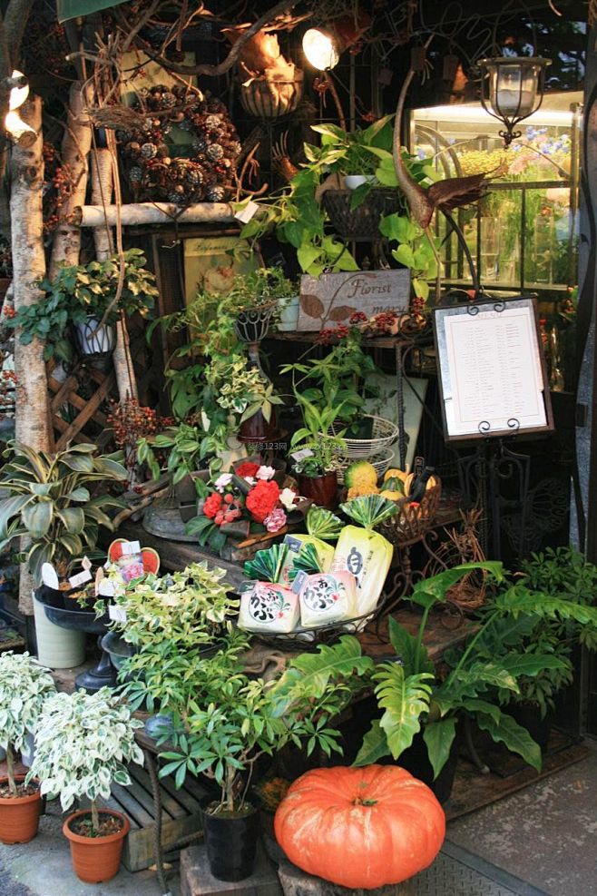 绿植店-花瓣网|陪你做生活的设计师 | 小店门前陈列的