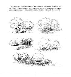 喵了个呜呜采集到景观手绘表现基础技法