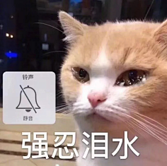 com 钱不够花了(流泪猫咪)_不够_流泪_猫咪表情 kippto采集到猫猫表情