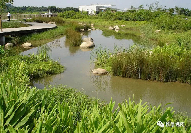 滨水植物景观-花瓣网|陪你做生活的设计师 | 湖国际