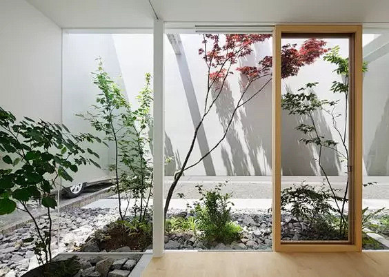 中庭/内庭/天井空间景观