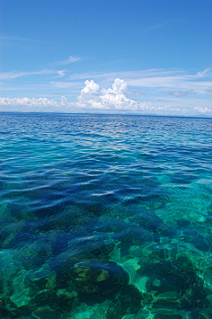 万千溪流归大海大海