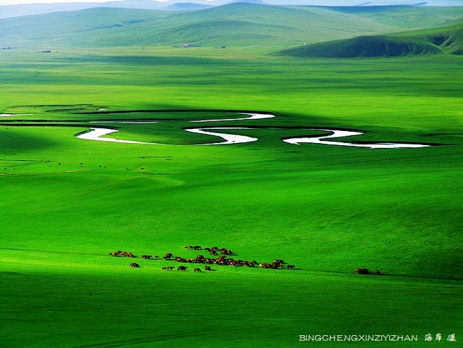呼伦贝尔大草原:想你想到草绿了