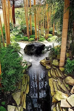 c禅意景观
