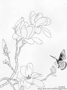 插画