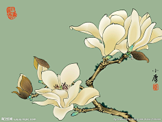 玉兰花/白玉兰等-花瓣网|陪你做生活的设计师 | jpg (600×1000)