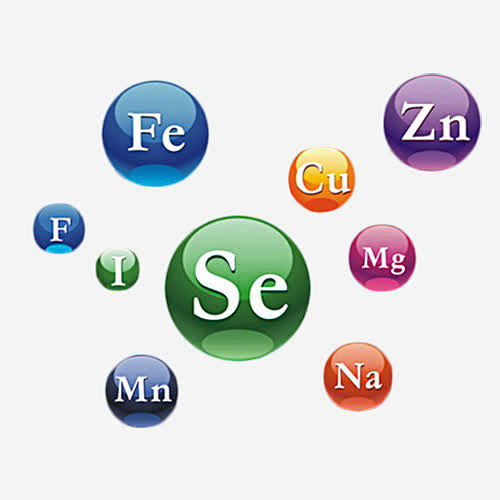 钙铁锌微量元素符号