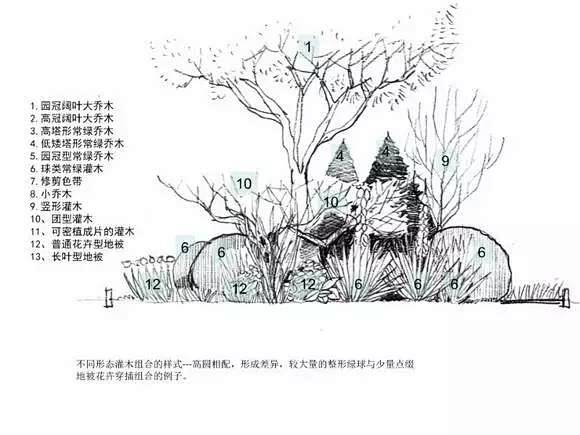 植物配置-花瓣网|陪你做生活的设计师 | 常用的景观