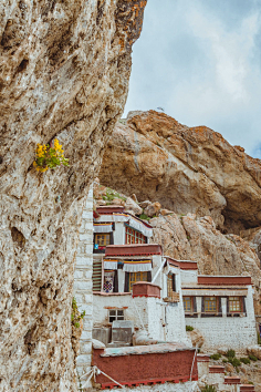 西红柿蛋汤加煎蛋采集到好想去旅行