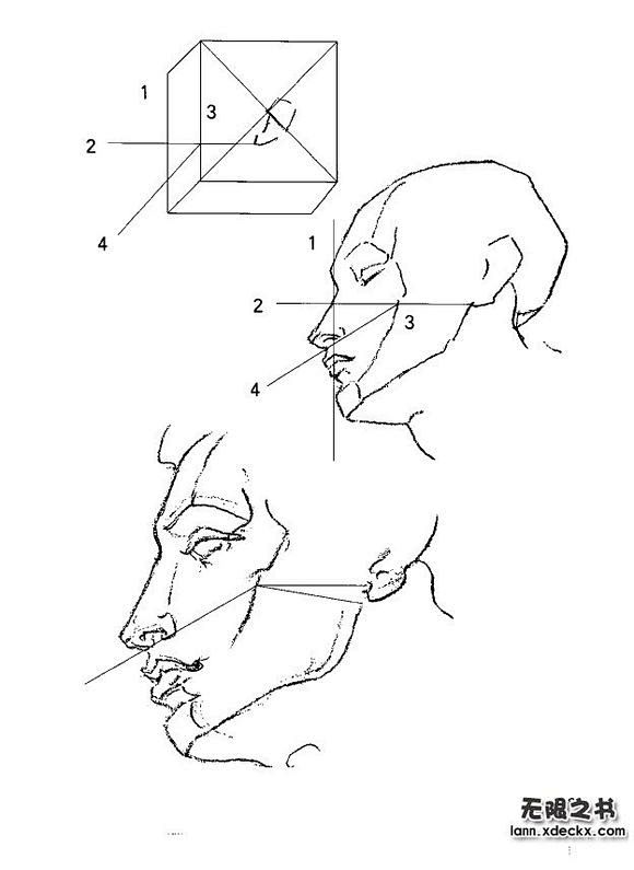 绘画教材伯里曼人体结构001100筋肉控吧百度贴吧