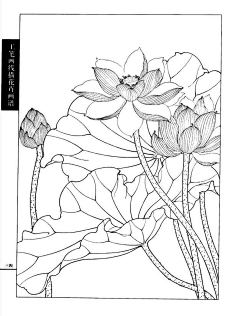 工笔画线描花卉画谱