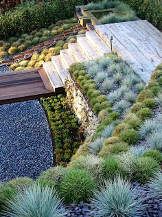 如果说竖向设计是景观师的一道坎,
那么高差处理就是竖向设