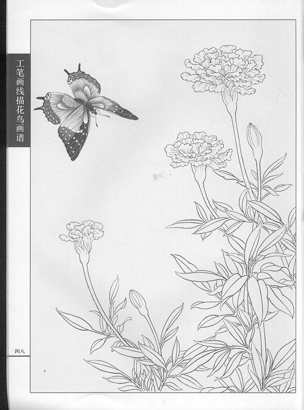 工笔画线描动物画谱之蝴蝶篇