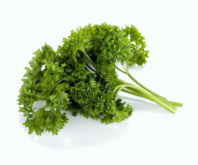 巴西利法香荷兰芹parsley皱叶巴西利卷叶巴西利巴西利香草法香parsley