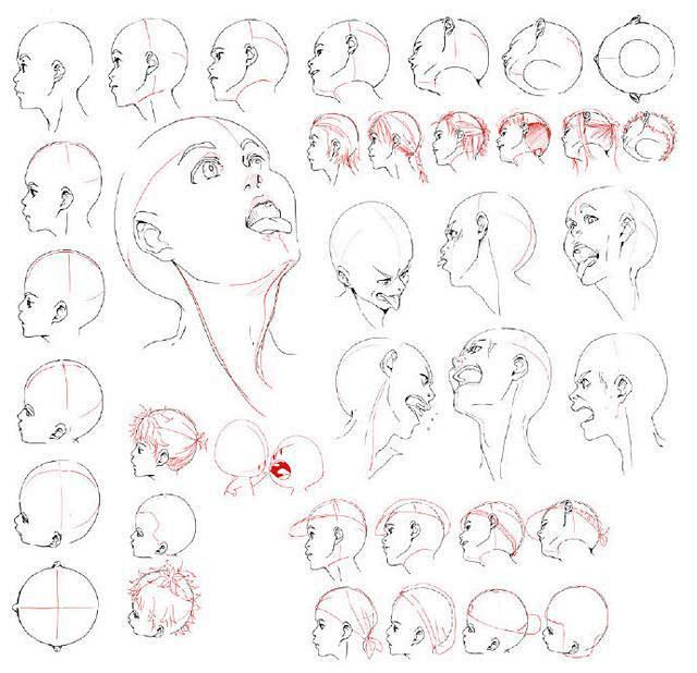 com 多角度头部绘制参考,仰视,俯视等不同的角度 87 17 360doc.
