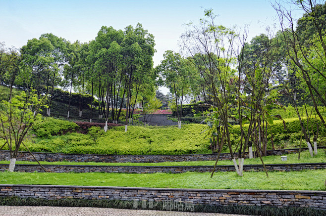 重庆茶园新区同景公园
